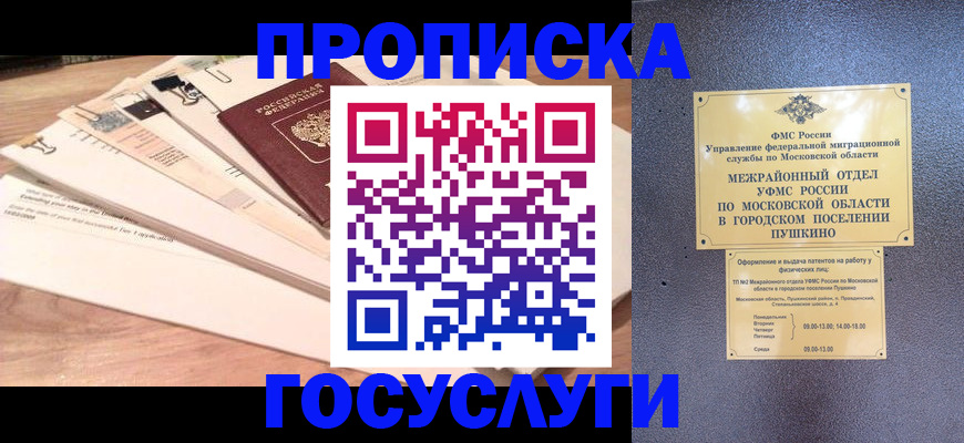 временная регистрация в Щёкино